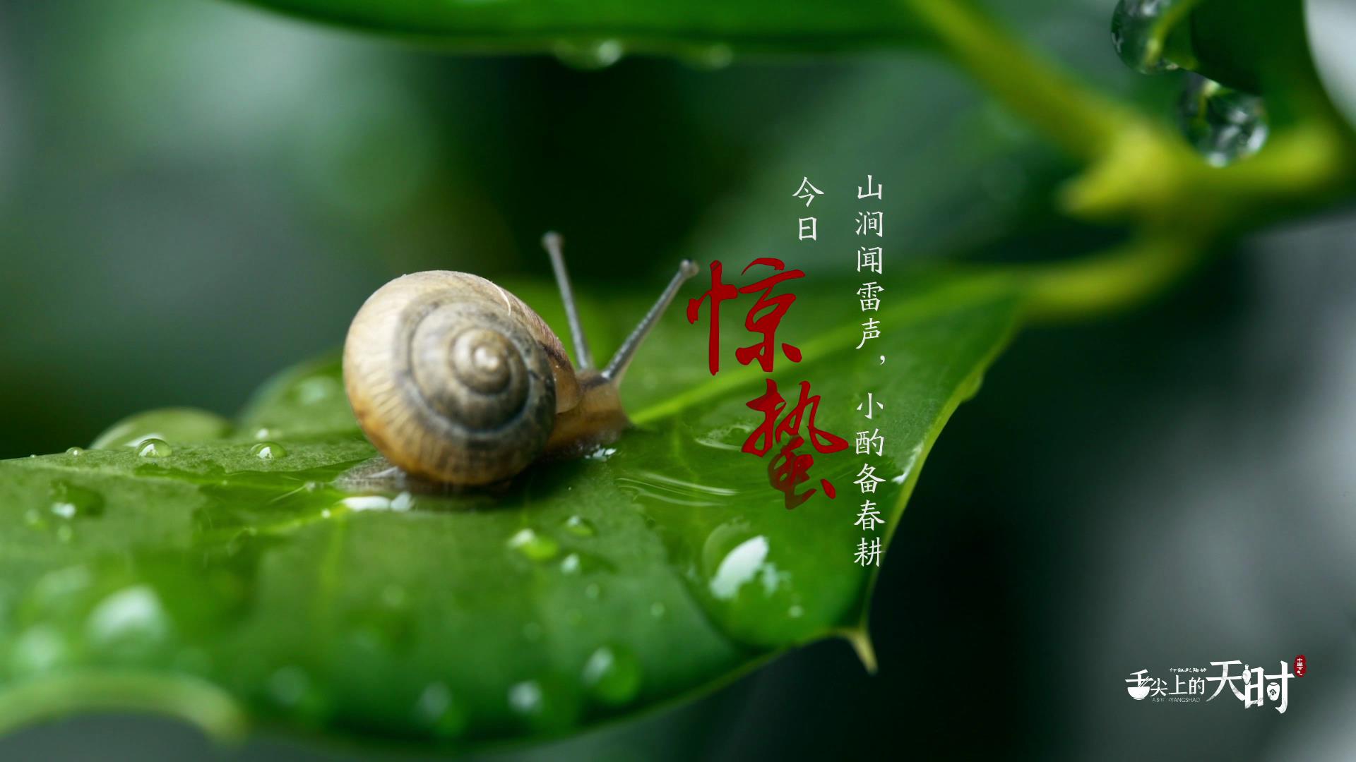 &#31435;&#21338;